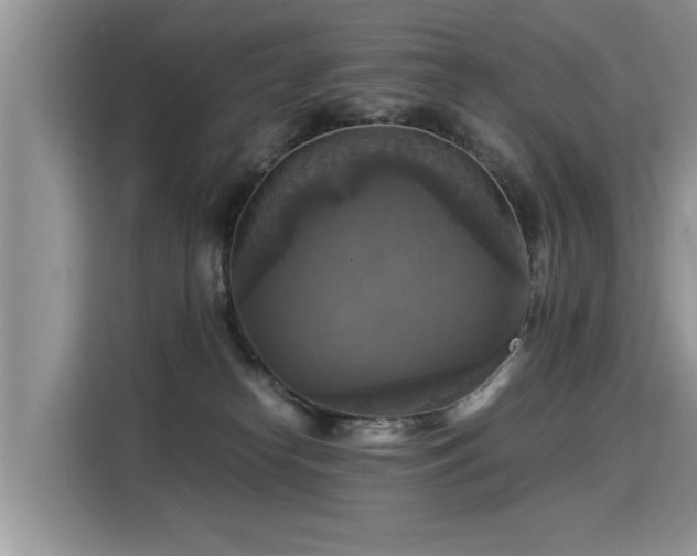 X0000115310182200911091144