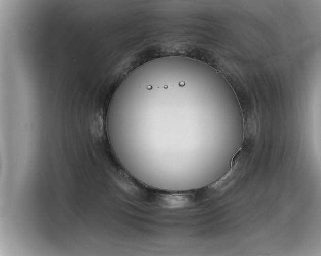 X0000115310183200911091144