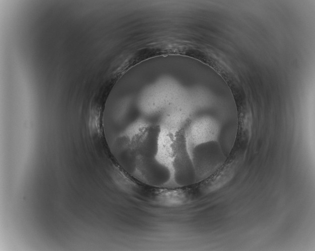 X0000115310185200911091144