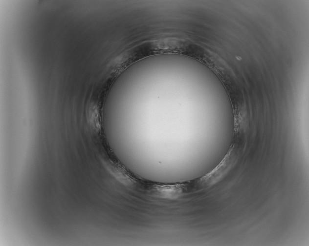 X0000115310187200911091144