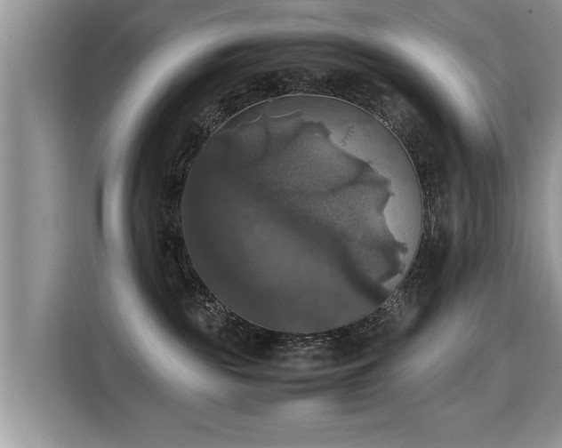 X0000115310189200911091144