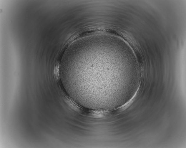 X0000115310190200911091144