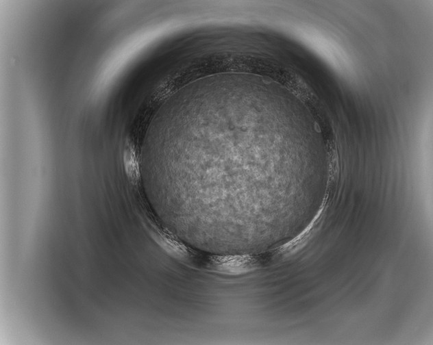 X0000115310191200911091144