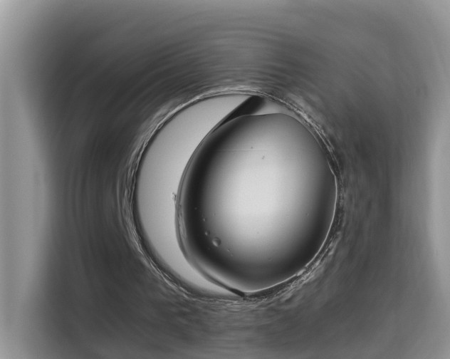 X0000115310193200911091144