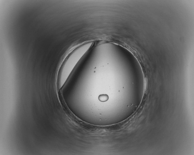 X0000115310195200911091144