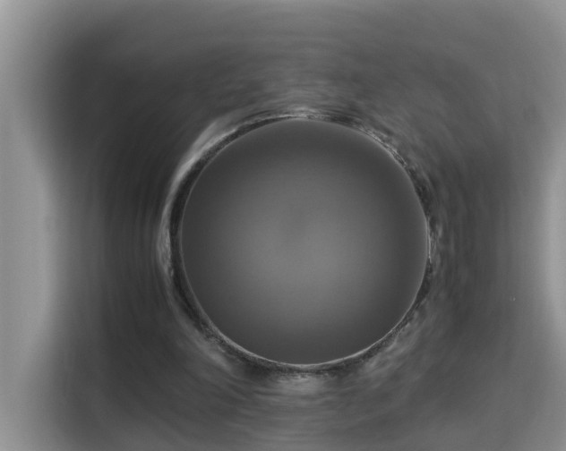 X0000115310198200911091143