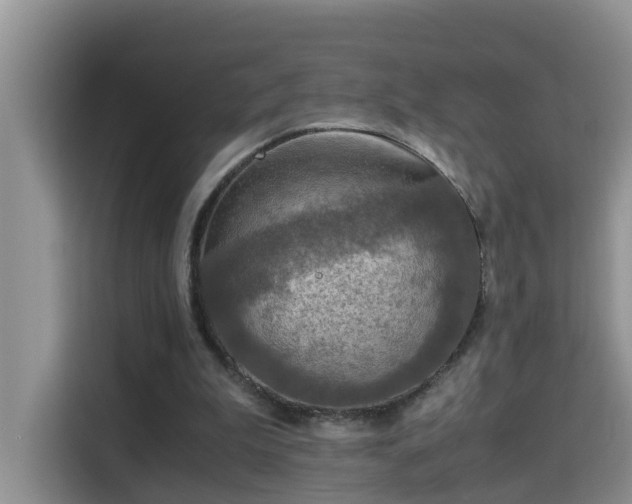 X0000115310199200911091143