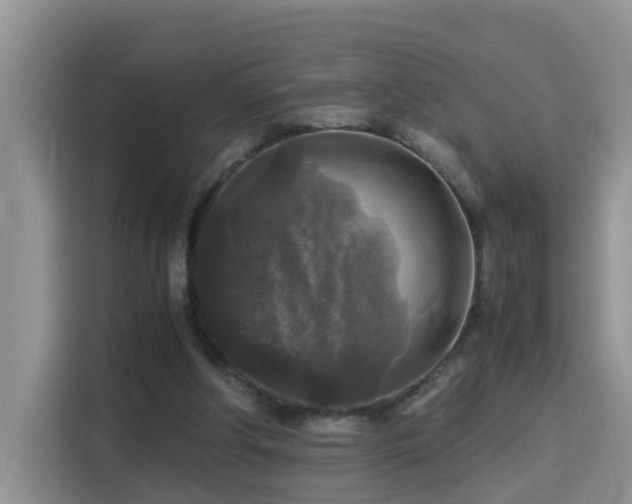 X0000115310202200911091143