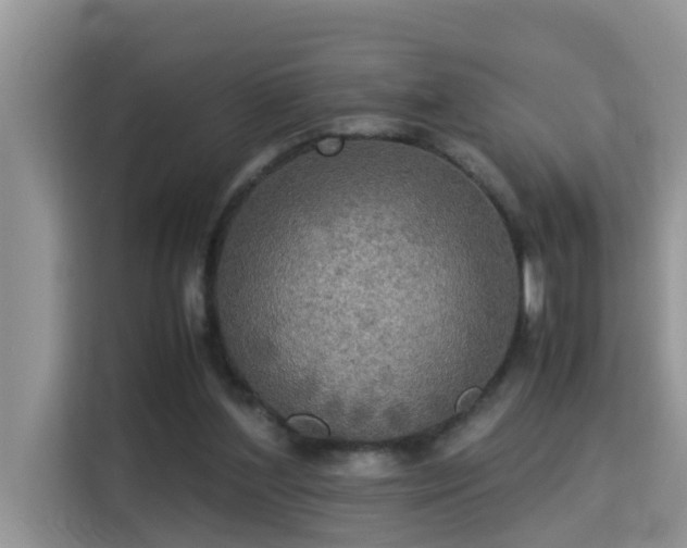X0000115310204200911091143
