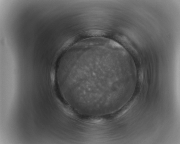 X0000115310206200911091143