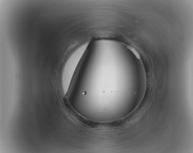 X0000115310207200911091143