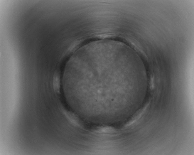 X0000115310210200911091143