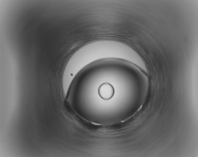 X0000115310211200911091143
