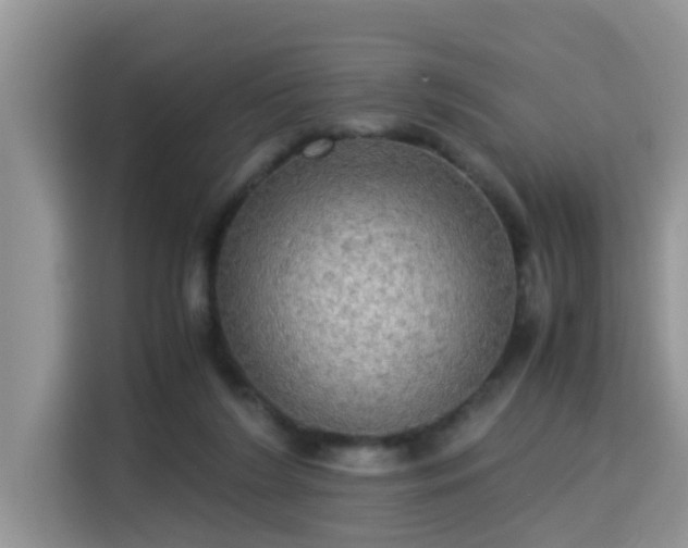 X0000115310212200911091143