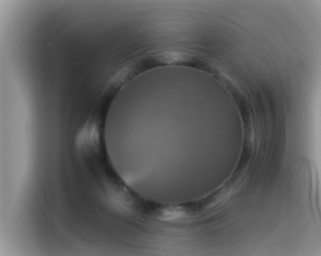 X0000115310214200911091143