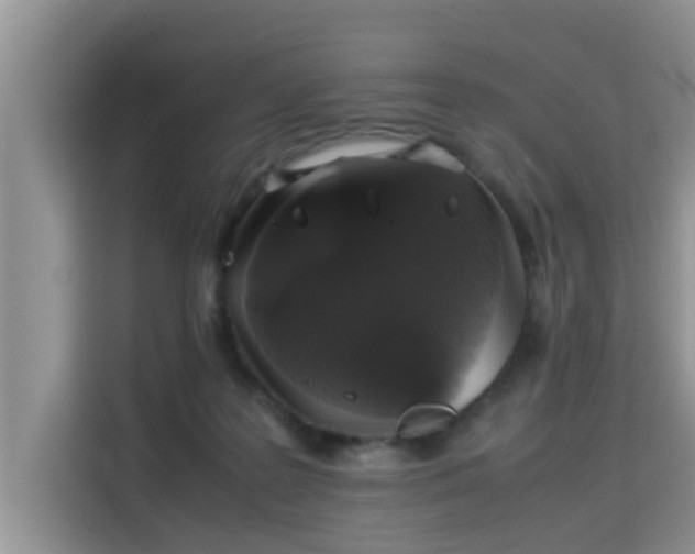 X0000115310219200911091143