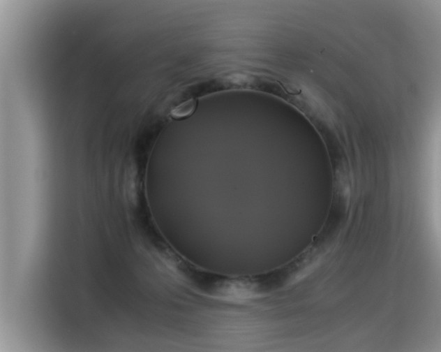 X0000115310223200911091143