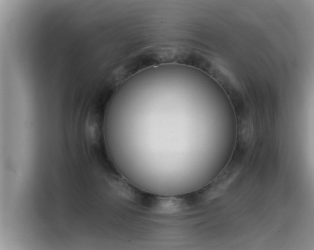 X0000115310226200911091143