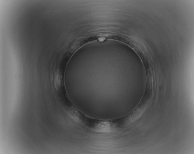 X0000115310227200911091143