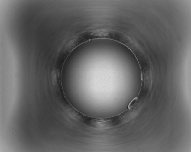 X0000115310229200911091143