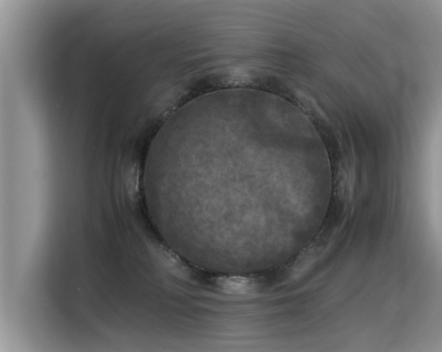 X0000115310230200911091143