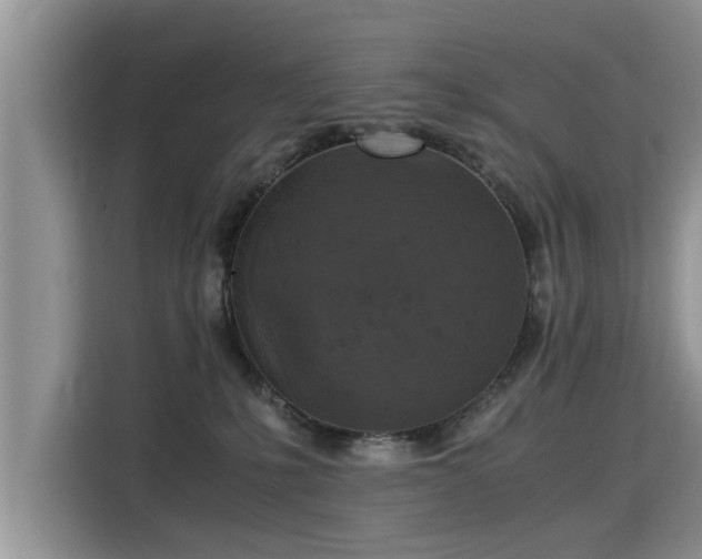 X0000115310231200911091143