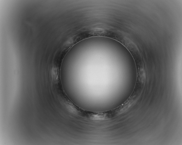 X0000115310232200911091143