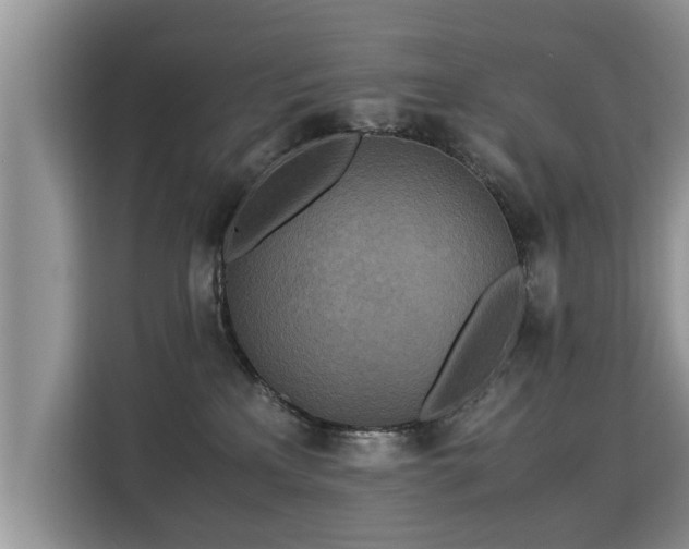 X0000115310233200911091143