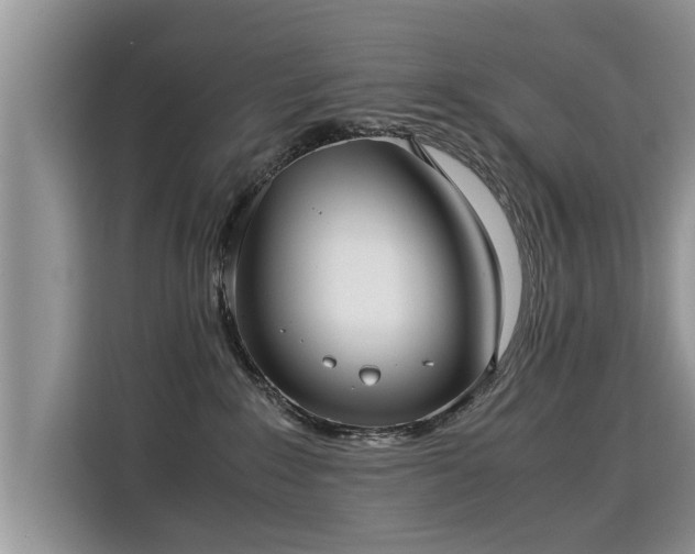 X0000115310235200911091143