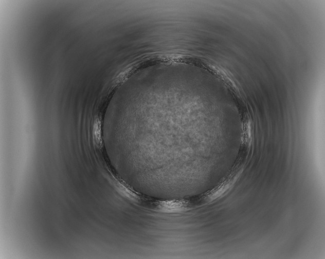 X0000115310238200911091143