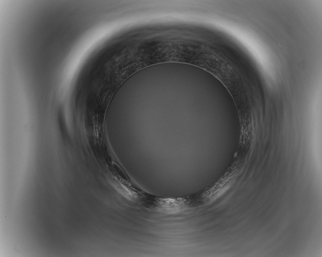 X0000115310239200911091143