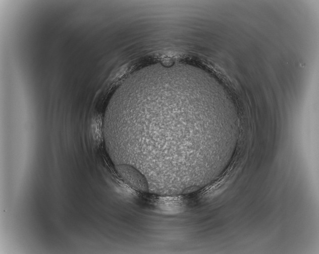 X0000115310240200911091143