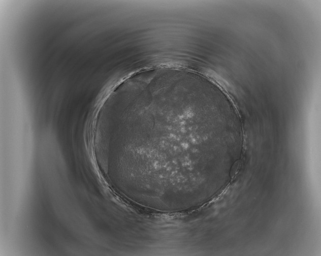 X0000115310241200911091142