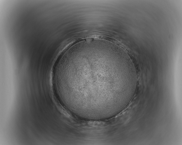 X0000115310242200911091142