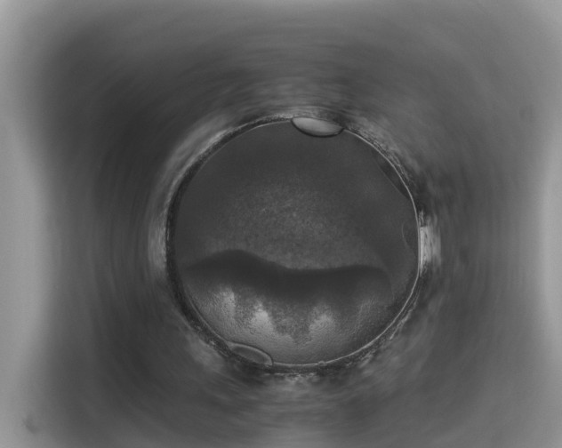 X0000115310243200911091142