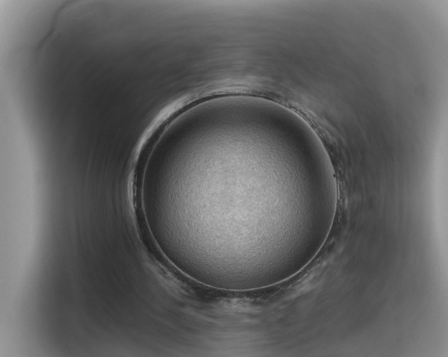 X0000115310244200911091142