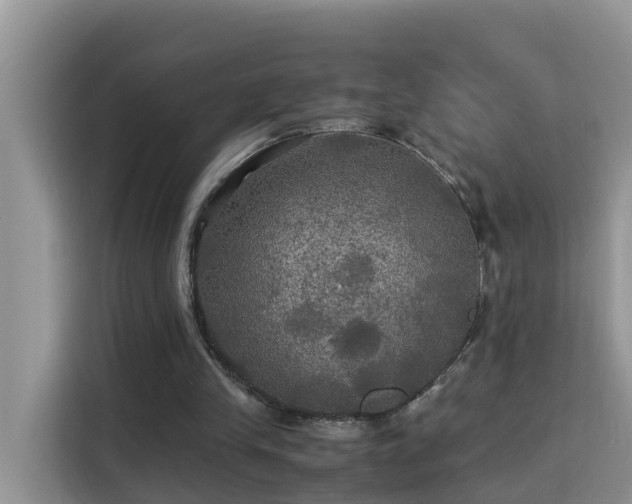 X0000115310245200911091142