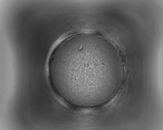 X0000115310246200911091142