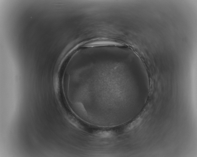 X0000115310247200911091142