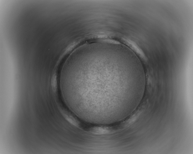 X0000115310250200911091142