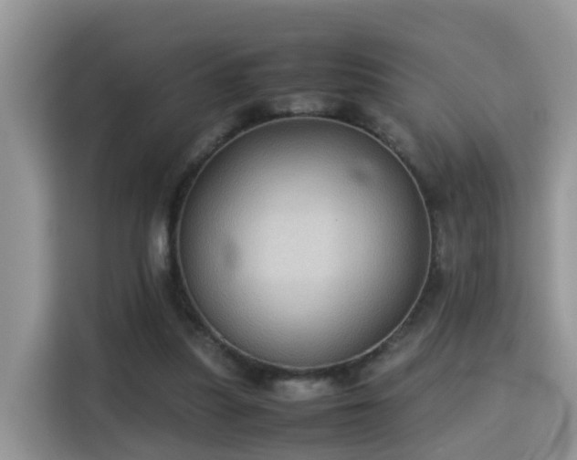 X0000115310251200911091142