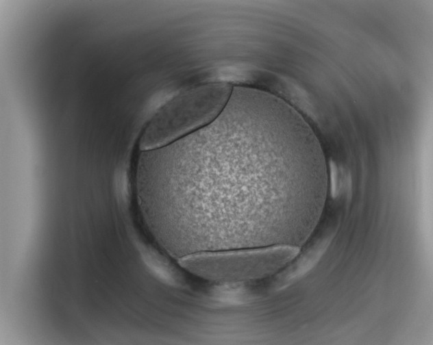 X0000115310252200911091142