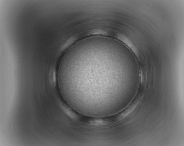 X0000115310253200911091142