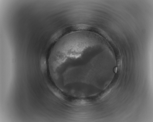 X0000115310254200911091142