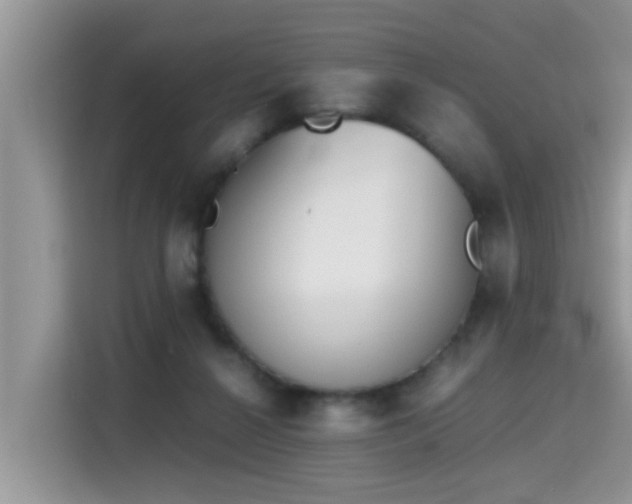X0000115310264200911091143
