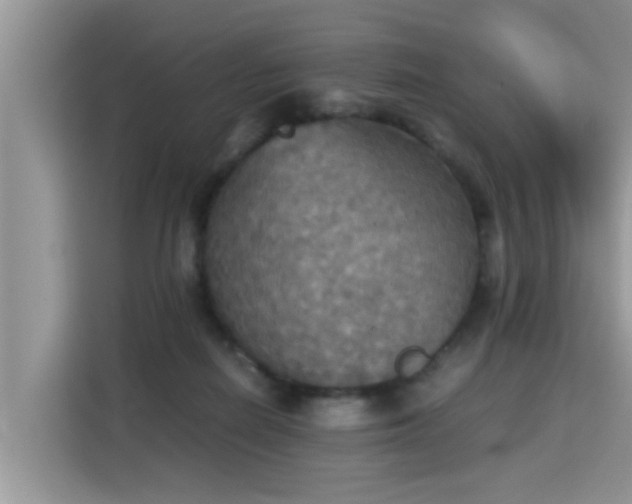 X0000115310266200911091143