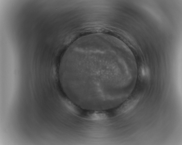 X0000115310270200911091143