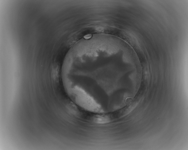 X0000115310275200911091143