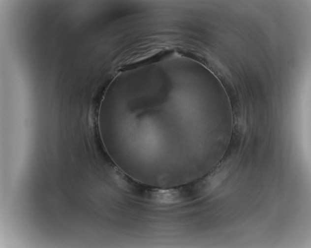 X0000115310277200911091143
