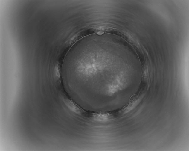X0000115310282200911091143